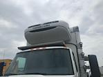 Used 2020 International MV Refrigerated Body with Liftgate for sale #355533 - photo 25