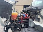 Used 2020 International MV Morgan Truck Body Box Truck for sale #359724 - photo 23