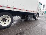 Used 2020 Isuzu NPR-XD Regular Cab Morgan Truck Body Box Truck for sale #360919 - photo 12