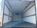Used 2020 International MV Morgan Truck Body Refrigerated Body T1080R50 for sale #361123 - photo 8