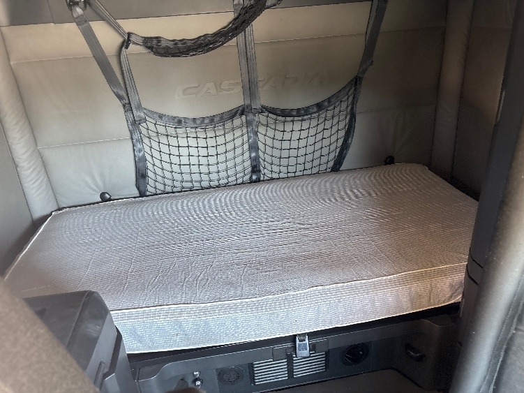 Used 2020 Freightliner Cascadia - photo 18