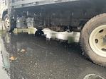 Used 2020 Isuzu NPR-HD Regular Cab Wabash Flatbed Truck for sale #363363 - photo 5