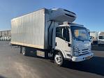Used 2020 Isuzu NQR Refrigerated Body with Liftgate for sale #366042 - photo 1