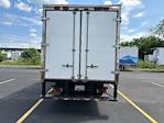 Used 2020 Hino 195 Single Cab Morgan Truck Body Box Truck for sale #368245 - photo 7