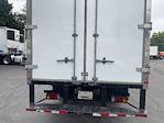 Used 2020 Hino 195 Single Cab Morgan Truck Body Box Truck for sale #368248 - photo 23