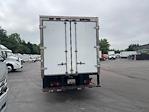 Used 2020 Hino 195 Single Cab Morgan Truck Body Box Truck for sale #368248 - photo 6