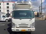 Used 2020 Isuzu NQR Refrigerated Body with Liftgate for sale #368384 - photo 2