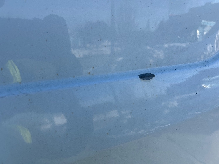 Used 2020 Ford Transit 250 - photo 27