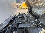 Used 2020 Isuzu NPR-HD Regular Cab Box Truck with Liftgate for sale #378443 - photo 24