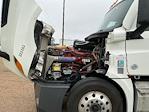 Used 2021 Freightliner Cascadia Cummins X15 Semi Truck with Sleeper Cab for sale #382291 - photo 21