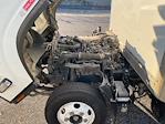 Used 2021 Isuzu NPR-HD Regular Cab Box Truck for sale #384167 - photo 22