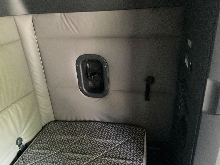Used 2022 Freightliner Cascadia - photo 20