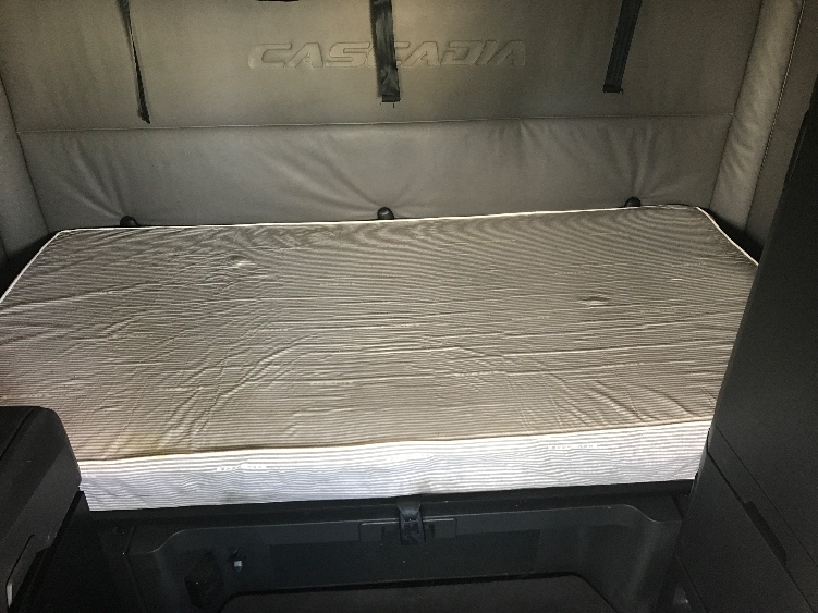 Used 2021 Freightliner Cascadia - photo 19