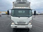 Used 2022 Isuzu NRR Refrigerated Body with Liftgate for sale #419875 - photo 2