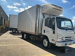 Used 2022 Isuzu NQR Morgan Truck Body Refrigerated Body T590 for sale #439091 - photo 1