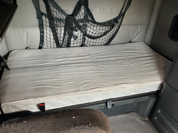 Used 2022 Freightliner Cascadia - photo 19