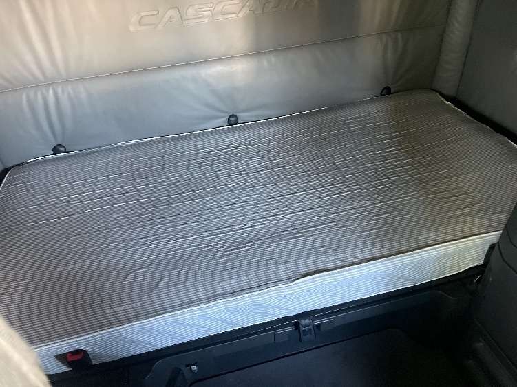 Used 2022 Freightliner Cascadia - photo 19