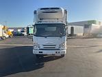 Used 2022 Isuzu NRR Refrigerated Body with Liftgate for sale #465419 - photo 2