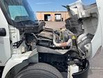 Used 2023 International MV Morgan Truck Body Box Truck for sale #468842 - photo 23