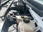 Used 2022 Ford E-350 Box Van for sale #486479 - photo 20