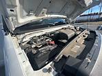 Used 2022 Ford E-350 Box Van for sale #486542 - photo 23