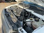 Used 2022 Ford E-350 Box Van for sale #486661 - photo 24