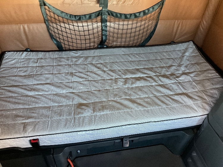Used 2022 Freightliner Cascadia - photo 19