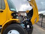 Used 2023 Freightliner M2 106 Conventional Cab Morgan Truck Body Box Truck with Liftgate for sale #601142 - photo 22