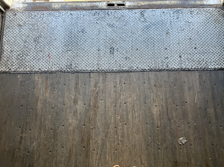 Used 0 Great Dane - photo 9