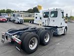 Used 2019 Freightliner Cascadia Detroit DD13 Semi Truck for sale #715242 - photo 7