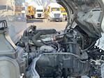 Used 2018 Hino 195 Single Cab Morgan Truck Body Box Truck for sale #718039 - photo 23