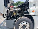 Used 2019 Freightliner Cascadia Detroit DD15AT Semi Truck with Sleeper Cab for sale #718347 - photo 15