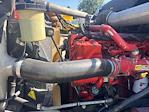 Used 2017 International LoneStar Cummins X15 Semi Truck for sale #718452 - photo 19