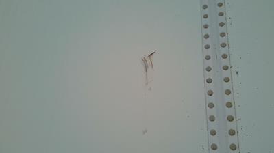 Used 2000 Wabash Dry Van Trailer 718588 for sale #718588 - photo 13