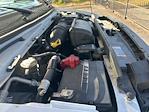 Used 2021 Ford E-350 Box Van for sale #91617824 - photo 22