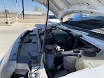 Used 2021 Ford E-350 Morgan Truck Body Box Van for sale #91617964 - photo 24