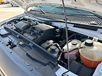 Used 2022 Ford E-350 Box Van for sale #91621789 - photo 24