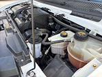 Used 2022 Ford E-350 Box Van for sale #91622097 - photo 24