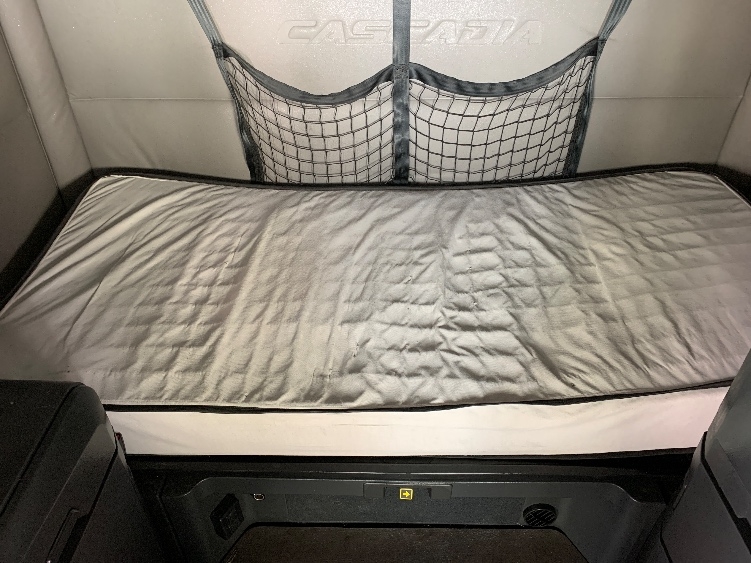 Used 2021 Freightliner Cascadia - photo 19