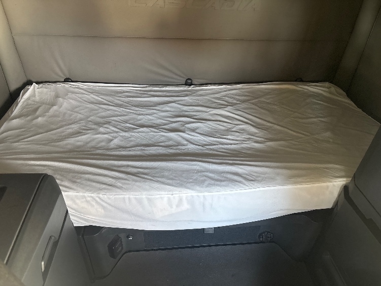 Used 2021 Freightliner Cascadia - photo 18