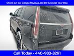 2019 Cadillac Escalade 4WD SUV for sale #FA5579A - photo 14