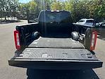 2024 Ford F-250 Crew Cab 4WD Pickup for sale #PD79831 - photo 12
