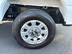 2024 Ford F-250 Crew Cab 4WD Pickup for sale #PD93717 - photo 23