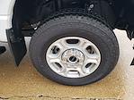 New 2025 Ford F-350 XLT Regular Cab for sale #SEC56013 - photo 15