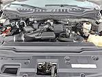 2020 Ford F-350 Crew Cab SRW 4WD Pickup for sale #250265B - photo 31
