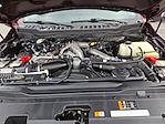 2024 Ford F-250 Crew Cab 4WD Pickup for sale #250266A - photo 27