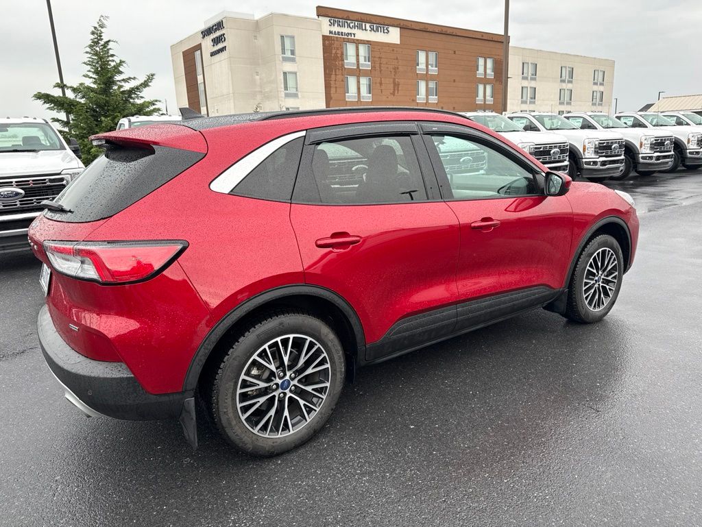 Used 2022 Ford Escape - photo 6