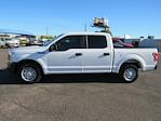 Used 2019 Ford F-150 SuperCrew Cab for sale #D58071T - photo 3