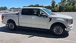 2023 Ford F-150 SuperCrew Cab RWD Pickup for sale #P23445 - photo 11