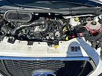 2024 Ford Transit 250 Low Roof RWD Empty Cargo Van for sale #P23554 - photo 22